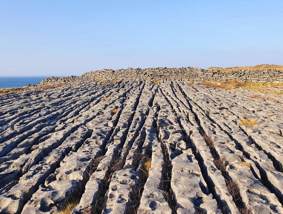 Take a private guided walking tour with Cormac's Coast