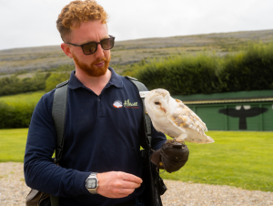 Aillwee Burren Experience sidebar image