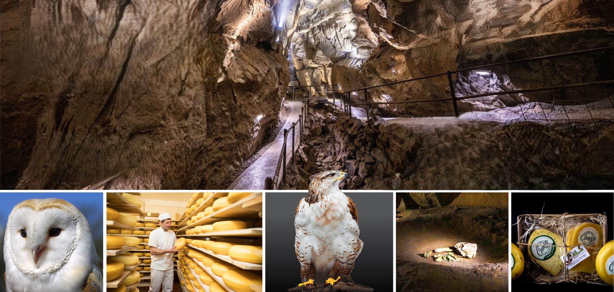 Aillwee Burren Experience