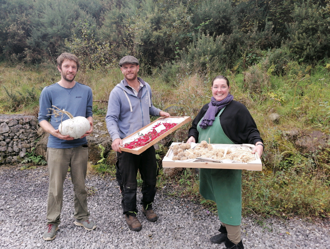 Explore the orchards and seed gardens at Irish Seed Savers