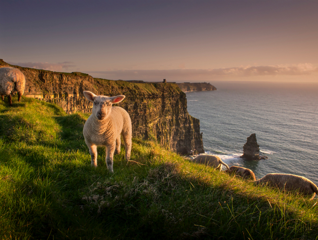 Visit the Cliffs of Moher Experience - they are spectacular