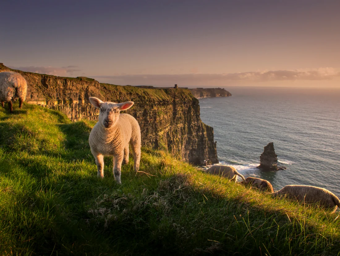 Visit the Cliffs of Moher Experience - they are spectacular