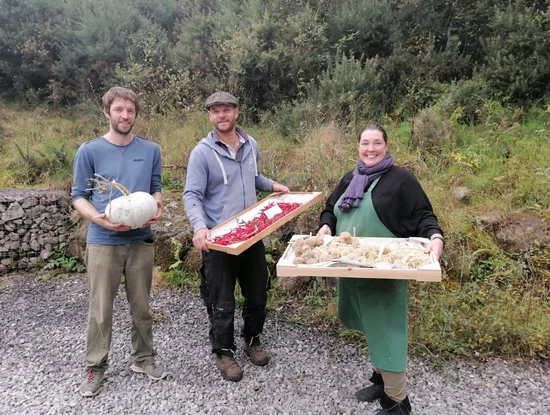 Explore the orchards and seed gardens at Irish Seed Savers