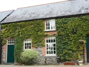 Mount Cashel Lodge