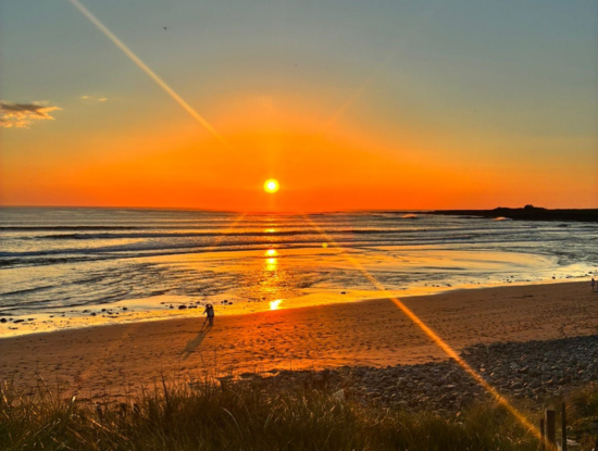Heat, Sea, and Stillness—Your Escape at Celtic Sauna